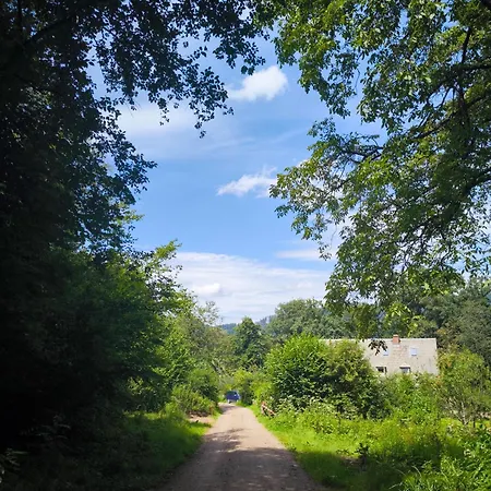 Hostel Waldblick